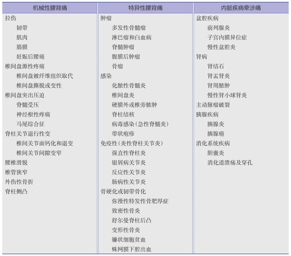 表1 腰背痛的病因分类以及常见疾病